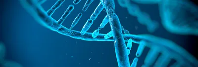 CNS Tumour Classification, Nordics & Baltics User Meeting
