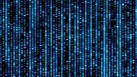 Complete sequencing of ape genomes