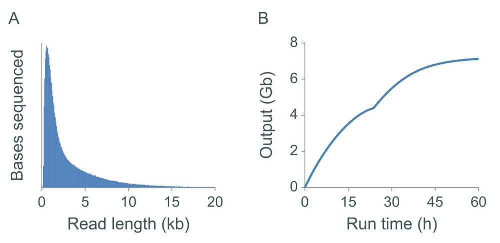 C.elegans pore-C AB
