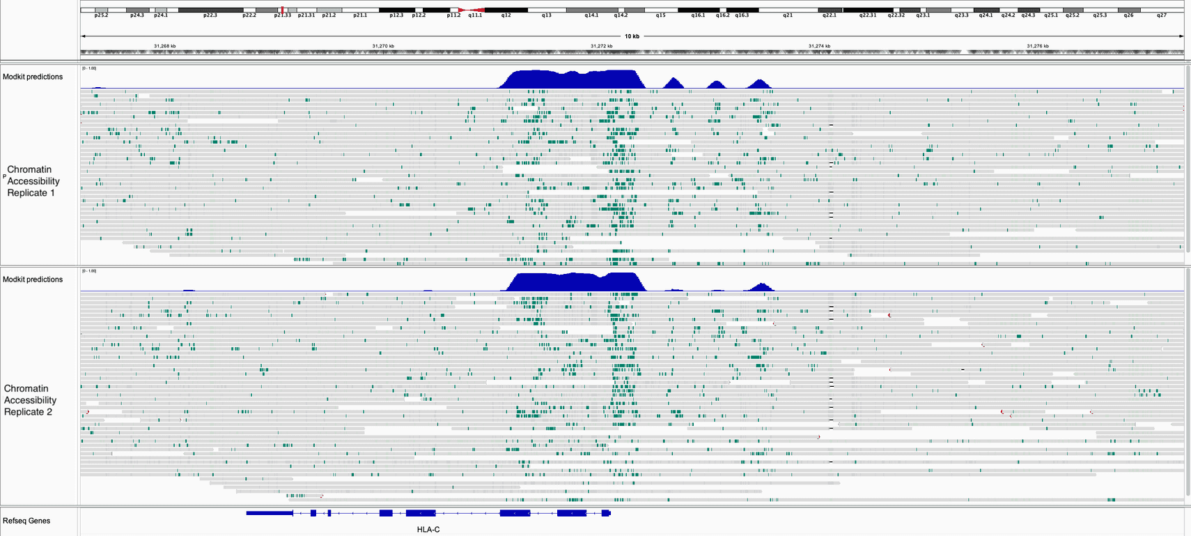Chromatin_accessibility_downstream_analysis_image1