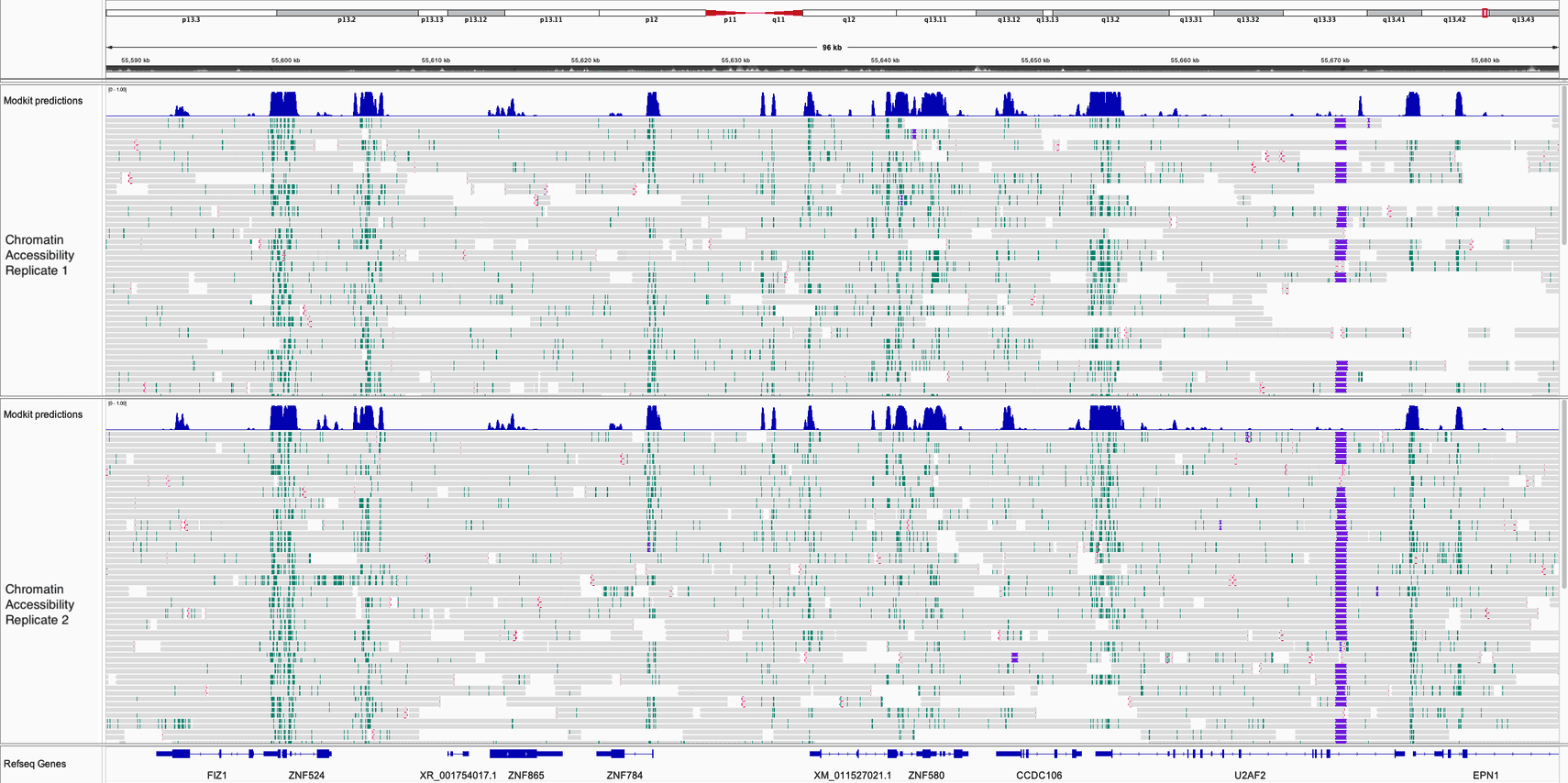 Chromatin_accessibility_downstream_analysis_image2