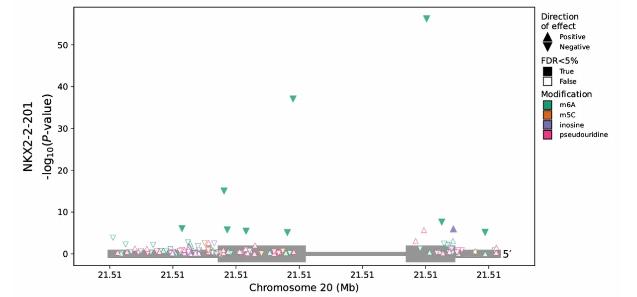 Figure 3 from Mulroney et al. 2025. This graph displays RNA modification results at transcript resolution for the gene NKX2-2-201