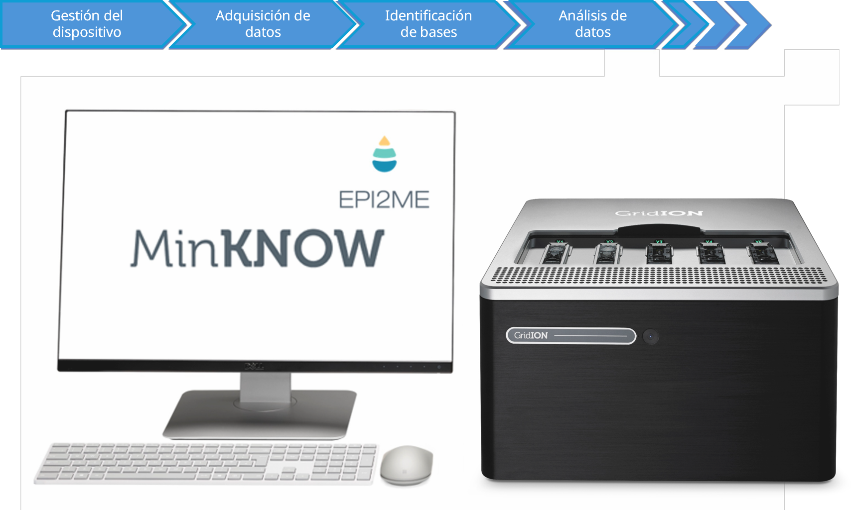 ES-GridION data flow