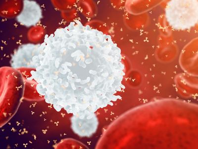 A rapid approach for linear epitope vaccine profiling reveals unexpected epitope tag immunogenicity