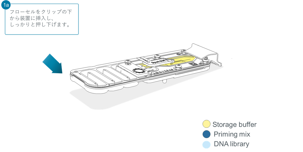 Flow Cell Loading Diagrams Step 1a_JP Flow Cell Loading Diagrams Step 1a_JP