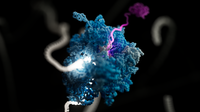 Poster: EPI2ME end-to-end workflows for biopharma quality control of plasmids and mRNA