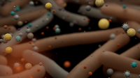 From culture to clarity in four hours: accelerating clinical management of bloodstream infections using metagenomics