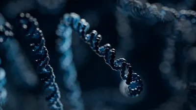 Visualisation of a double-stranded DNA molecule in dark blue