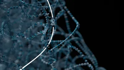 Structural variation image