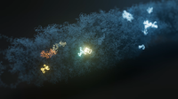 Case study: high-quality bacterial genome without the complexity