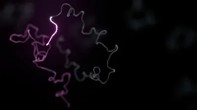ONT_Transcriptomics_FINAL_STILLS_11