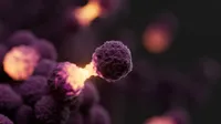 Nano‐RAPID: integrated diagnosis for sarcoma using a nanopore sequencer