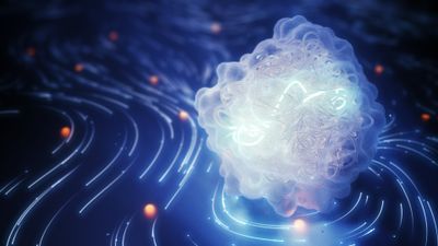 Image symbolising cancer research