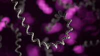 Case study: unravelling tumour biology with single-cell Oxford Nanopore sequencing