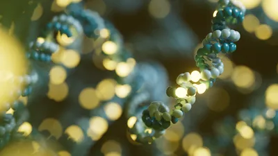 Oxford Nanopore long reads