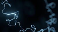 How to sequence microbial isolates with the NO‑MISS workflow