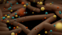 Case study: pan-microbial pathogen detection in hours using metagenomic sequencing