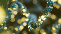 Case study: expanding reference genomes with T2T assembly to reflect global diversity