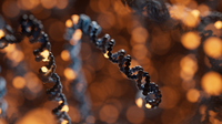 Workflow overview: 24-hour human whole-genome sequencing