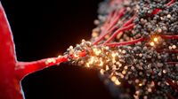 White paper: cancer research