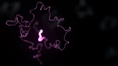 Oxford Nanopore Transcriptomics