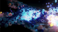Protocol overview: direct-from-colony microbial sequencing (rapid *Salmonella* serotyping)