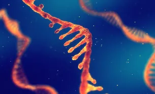 RNA strand
