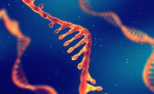 RNA strand