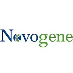The image shows the Novogene logo with the word "Novogene" in blue and green, featuring a DNA strand design within the letter "o".