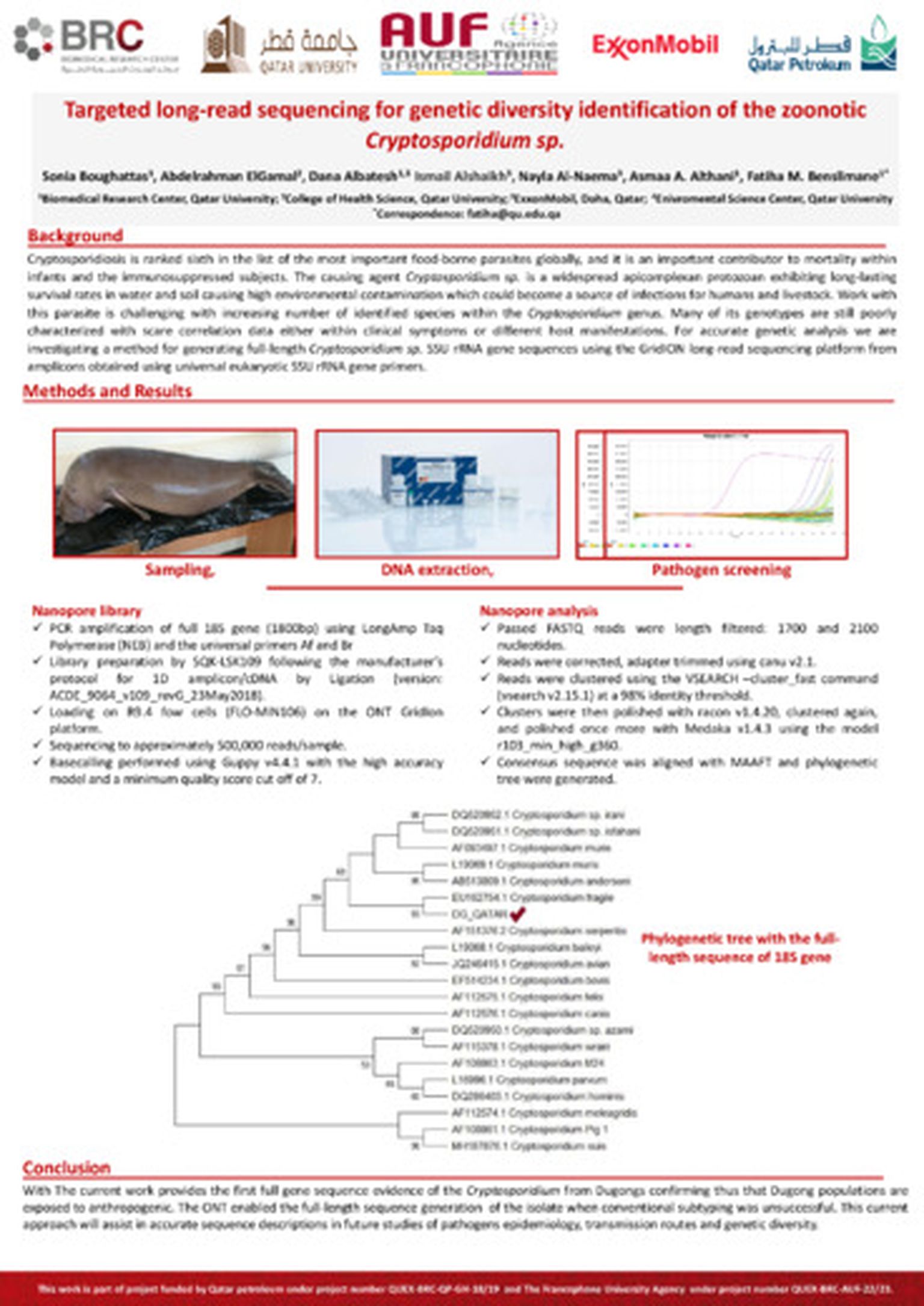 Targeted long-read sequencing for genetic diversity identification of the zoonotic *Cryptosporidium sp.*