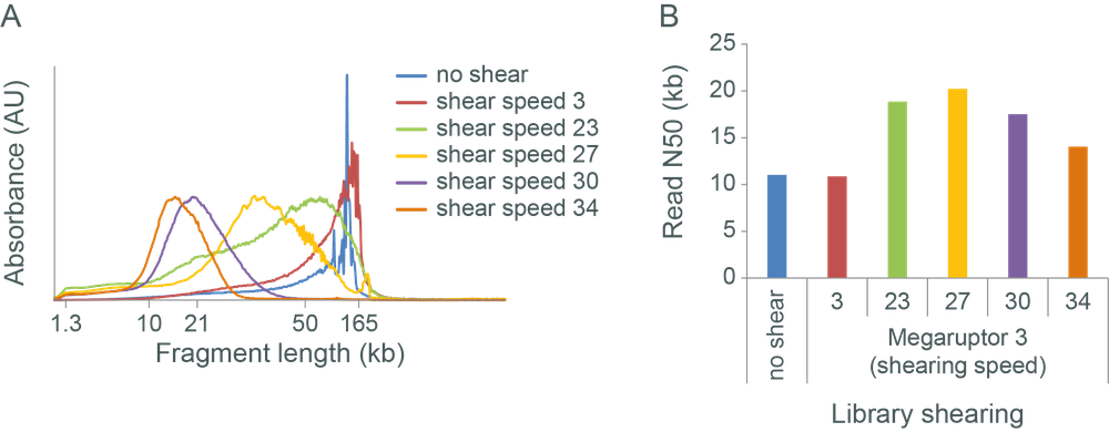 DNA fragmentation comparison