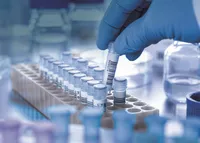 Resolving vector insertion sites and cell line characterization: insights from PRINT