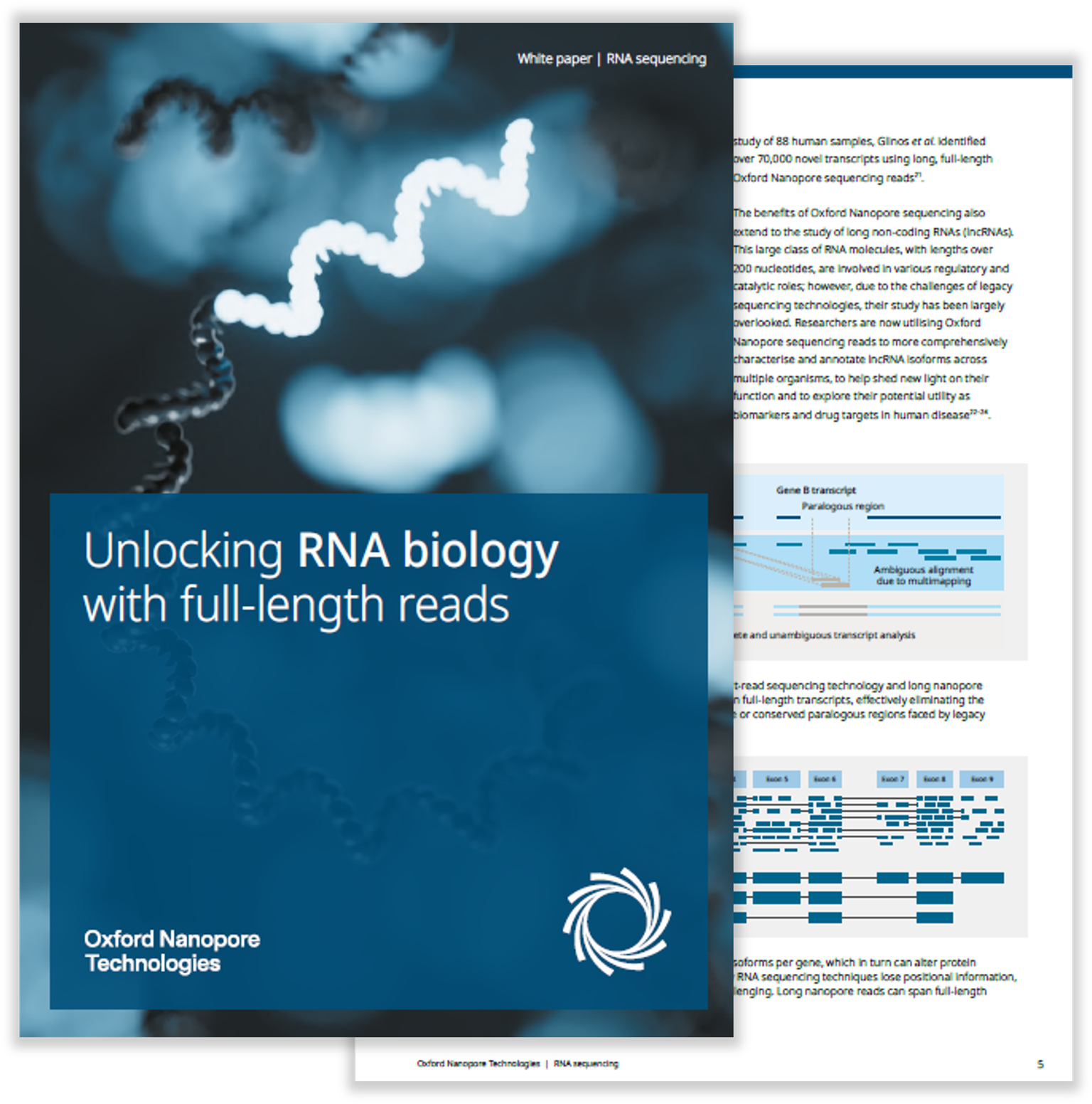 White paper: RNA sequencing — 2 pages