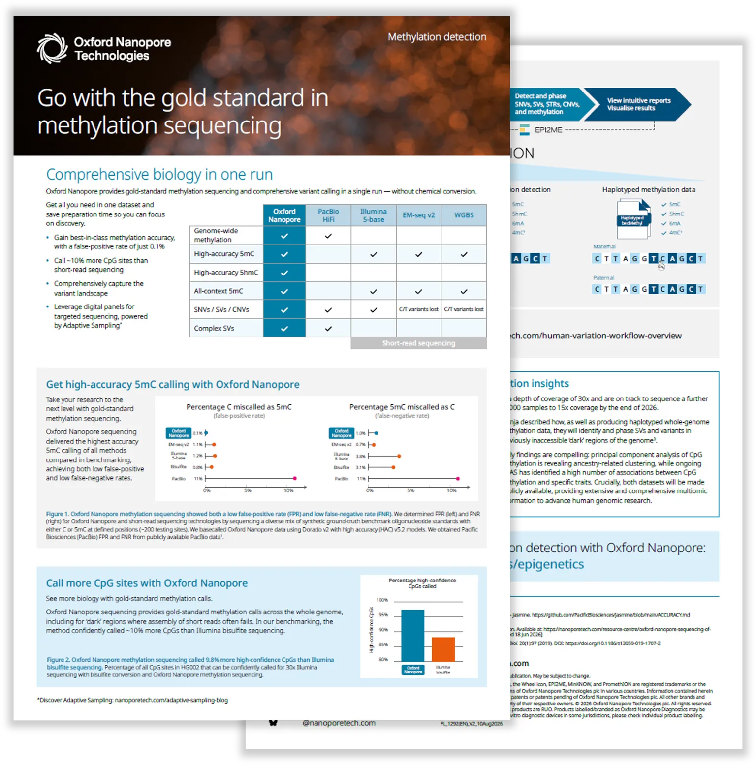 Preview of the methylation flyer