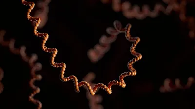 Orange RNA strand on a black background