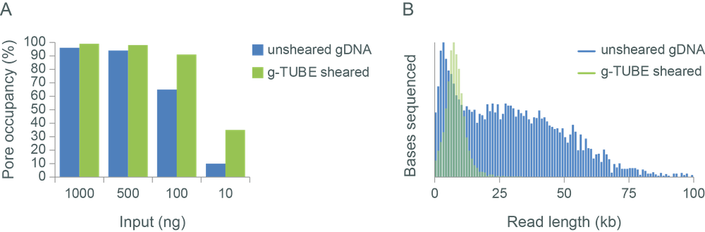DNA fragmentation input output