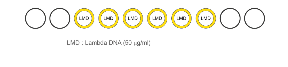 lambda kit