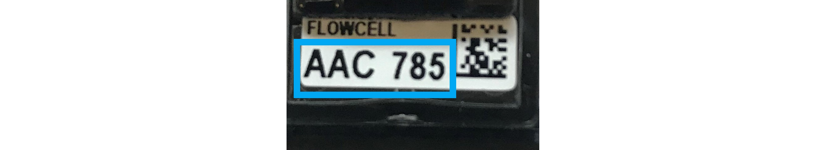 Flongle flow cell ID