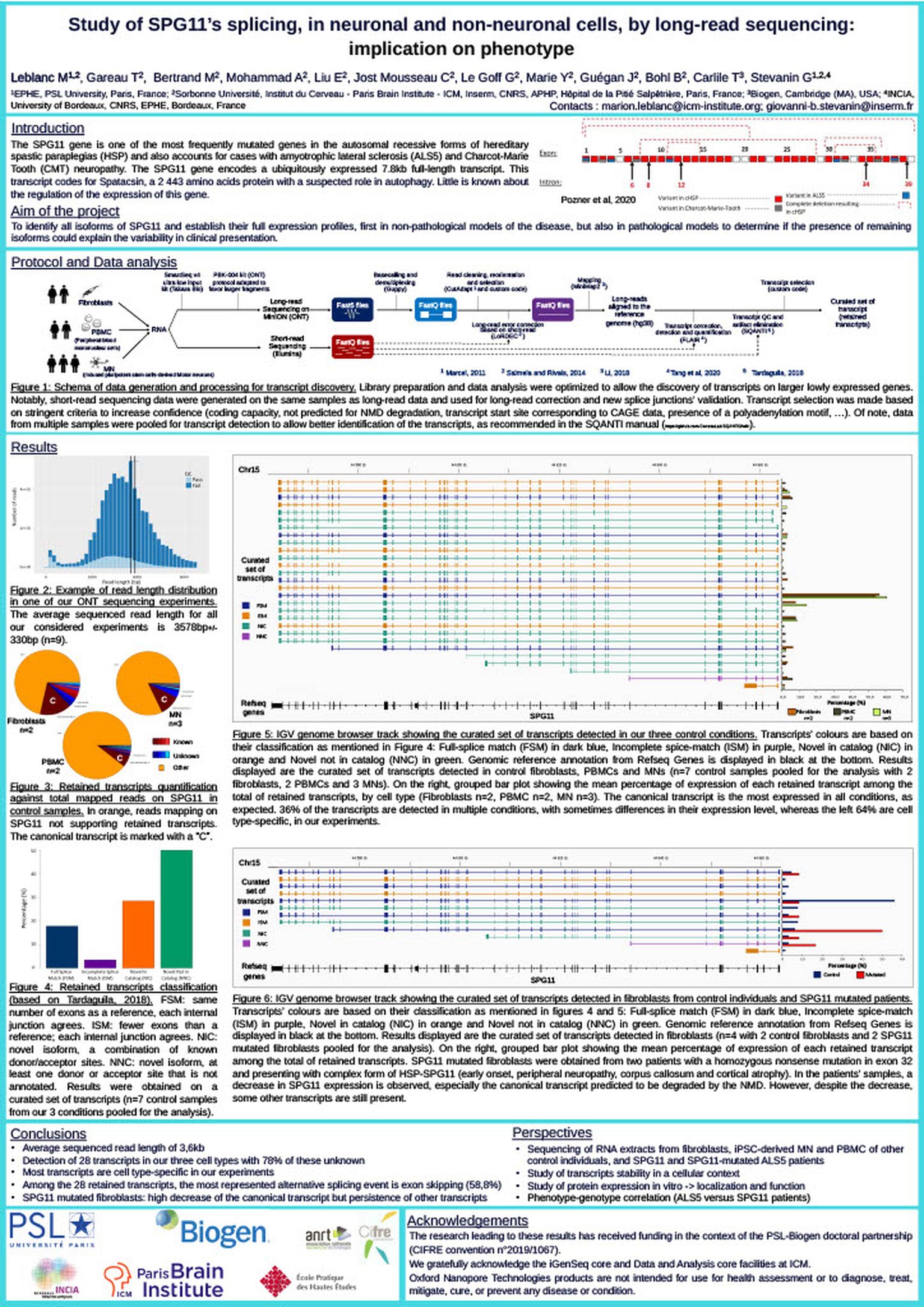 Study of SPG11’s splicing, in neuronal and non-neuronal cells, by long-read sequencing: implication on phenotype