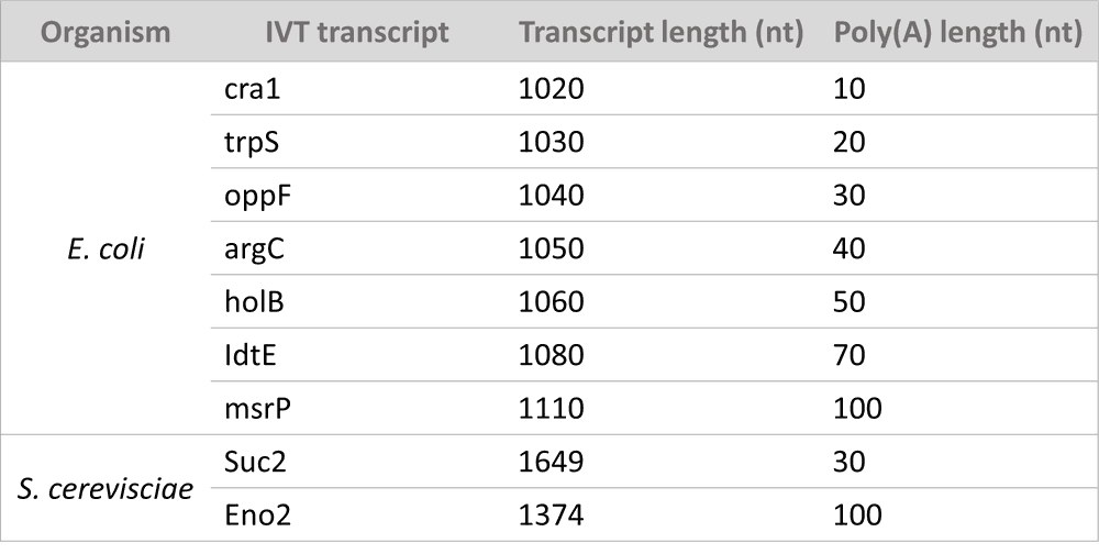measuring polyA length table