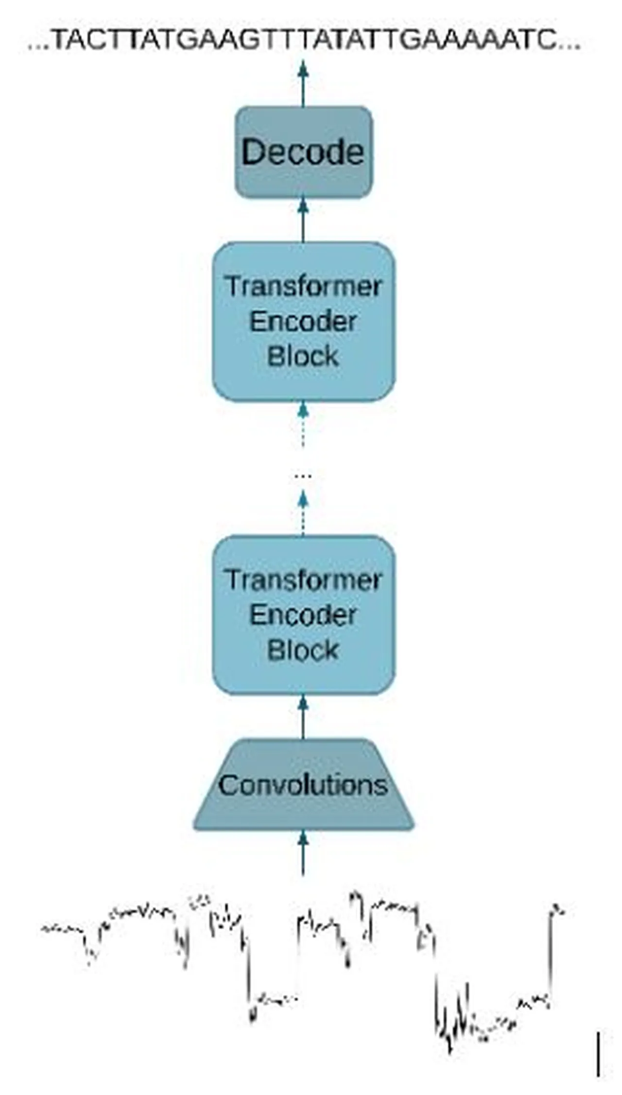 From LSTMs to Transformers