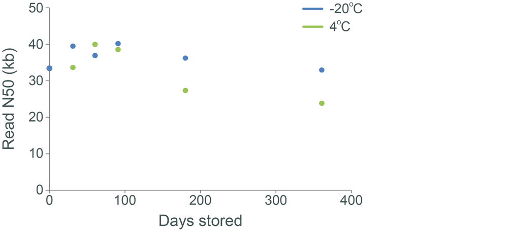 DNA stability storage