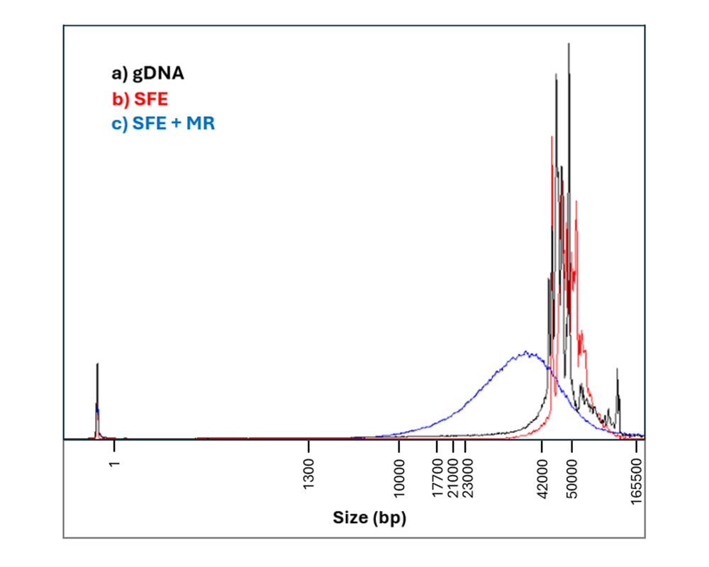 COMBINED frag analyser human blood variant e2e
