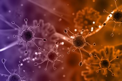 Small viruses on purple orange cell background