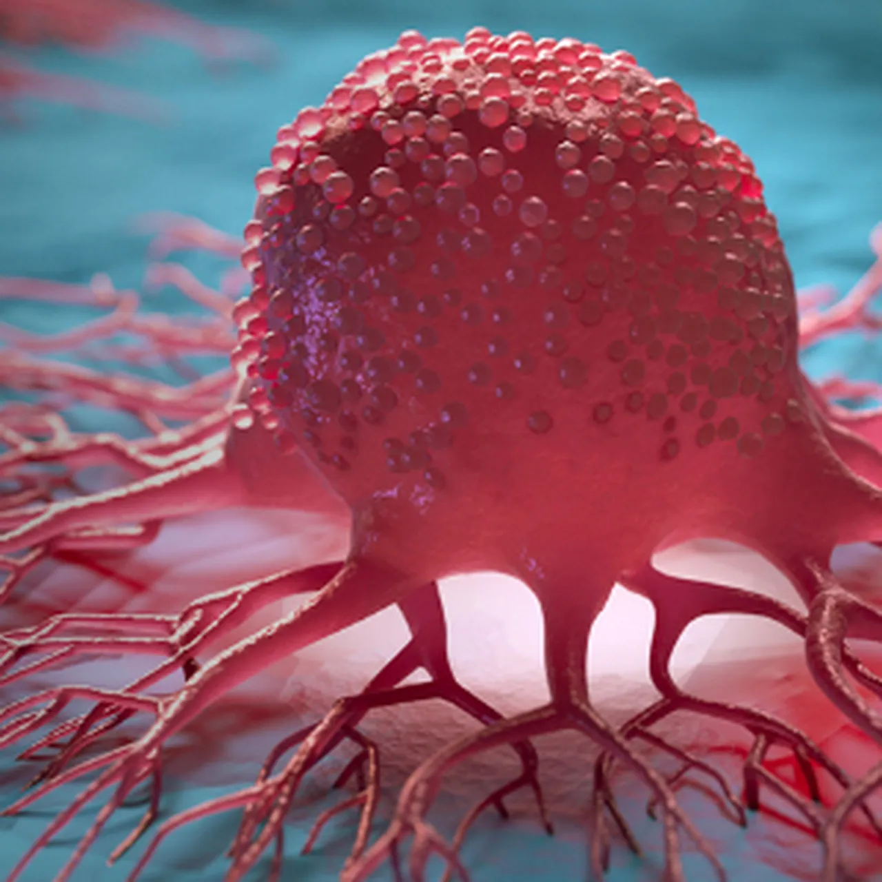 oncology