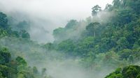 White paper: plant, animal, and environmental sequencing