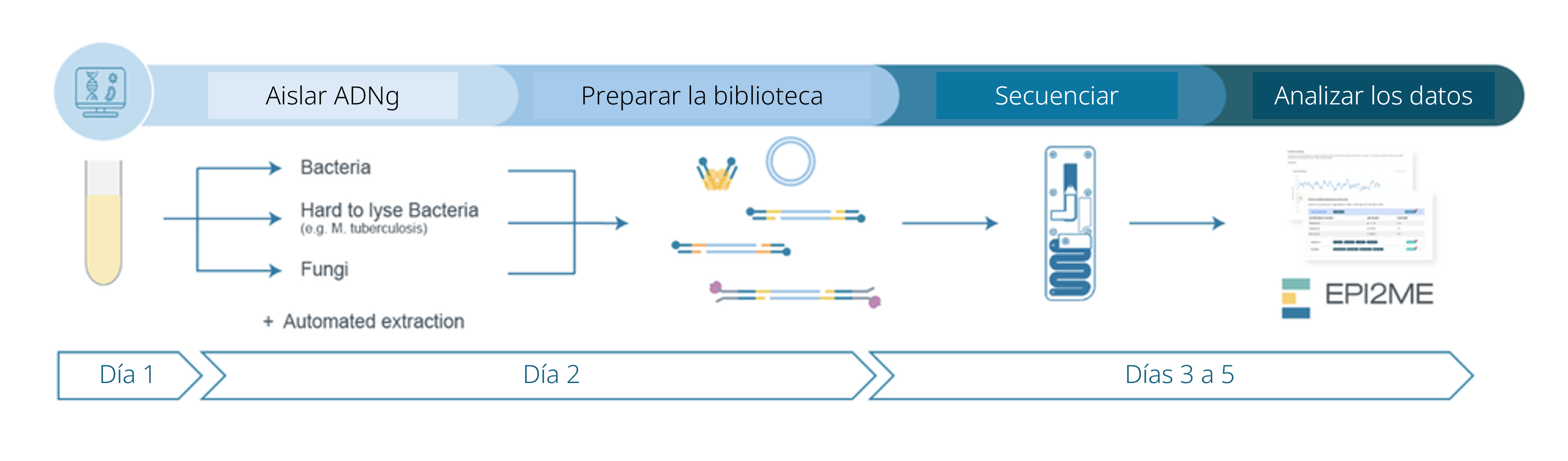 es-NO-MISS protocol workflow overview
