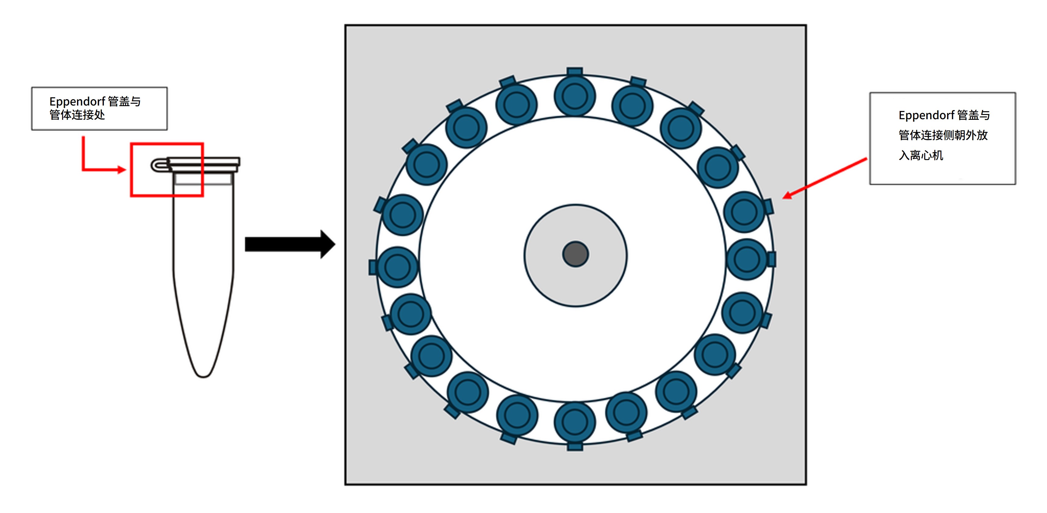 Chinese Metagenomics Eppendorf Hinge