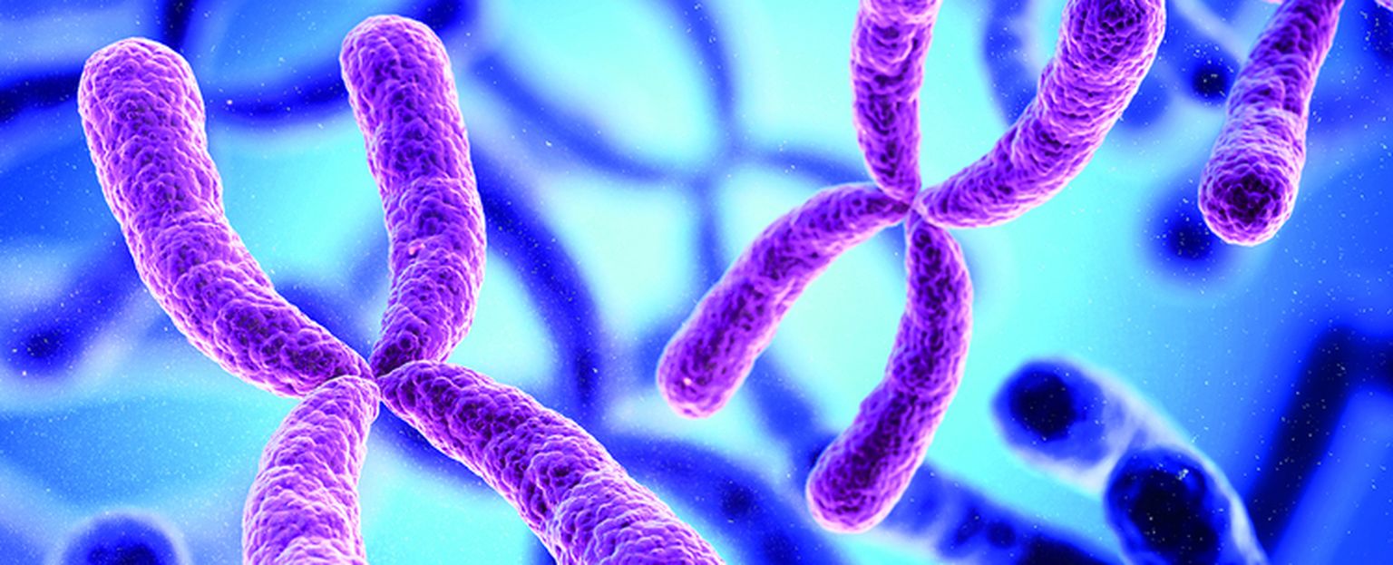 Unprecedented access to haplotype-resolved biology enabled by ultra-long reads and Pore-C