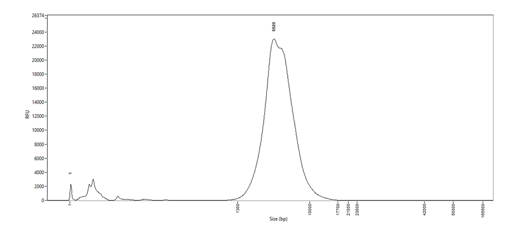 gDNA fragmentation femtopulse graph RRMS SVG